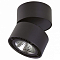 Накладной светильник Lightstar Forte Muro 214837