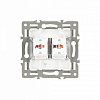 Розетка двойная RJ-12 и Ethernet RJ-45, без рамки Arlight SCT 045338 100_100_681203