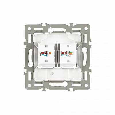 Розетка двойная RJ-12 и Ethernet RJ-45, без рамки Arlight SCT 045338 400_400_681203
