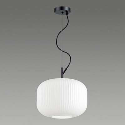 Подвесной светильник Odeon Light Roofi 4754/1 400_400_1724812