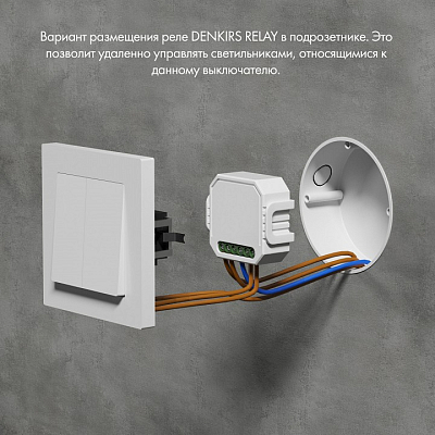 Контроллер-диммер Wi-Fi для смартфонов и планшетов Denkirs Relay RL1004-DM/1 400_400_1915169