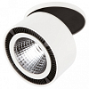 Спот Lightstar Forte Inca 214806 100_100_1712352