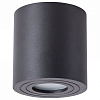 Накладной светильник Arte Lamp Galopin A1460PL-1BK 100_100_2444223