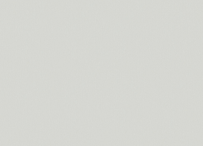 R 25535 Обои Fipar (1*4) 10,05х1,06 винил на флизелине 400_400_2150047