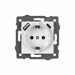 Розетка с заземлением и 2хUSB type A и C, без рамки Arlight SCT 049822 250_100_681322