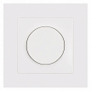 Накладка для диммера Arlight INTELLIGENT 050849 100_100_2139255