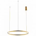 Подвесной светильник Kink Light Тор 08214,33P(3000K) 250_100_1842141