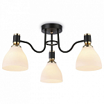 Потолочная люстра Ambrella Light TR TR303303 250_100_Array