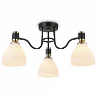 Потолочная люстра Ambrella Light TR TR303303 500_191_2431377