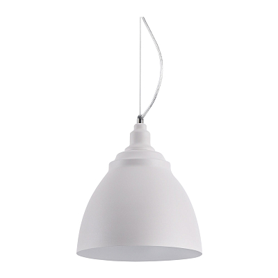 Подвесной светильник Maytoni P534PL-01W 400_400_858371