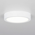 Накладной светильник Citilux Галс CL5516N 250_100_3147856