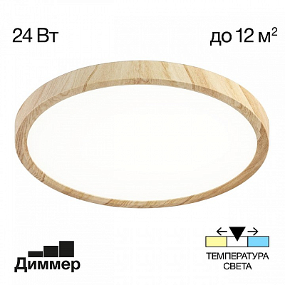 Накладной светильник Citilux Бейсик CL738242V 400_400_1693090