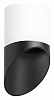 Накладной светильник Lightstar Rullo R348687 100_100_2448333