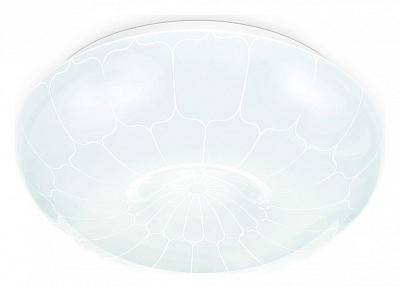 Накладной светильник Ambrella Light FZ FZ1090 400_400_3232989