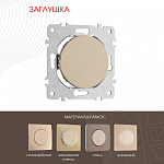Заглушка для поста, без рамки Arte Milano am-202 202.50-1.shampan 250_100_2166060