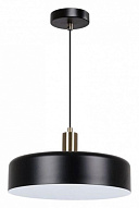 Подвесной светильник Arte Lamp Skat A7152SP-1BK 500_191_2454948