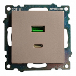 Розетка 2хUSB type A и C без рамки Stekker Катрин 50056 250_100_2160607