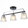 Светильник на штанге Ambrella Light TR TR303235 100_100_2468398