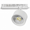Светильник на штанге Lightstar Alta Pro A5536DALI 100_100_3238898