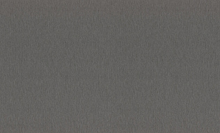 978483 Обои Rasch (1*6) 10,05x1,06 винил на флизелине 500_191_2324193