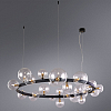 Подвесной светильник Arte Lamp Vincent A7790SP-24BK 100_100_3095017