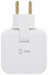 Разветвитель Эра  SPF-2-FL-USBC 250_100_2873451