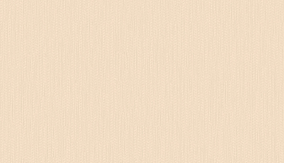 Обои HYGGE Roll (Dacha) арт Hg16 004/1 флизелин, рулон 10,05х1,00 (1*6) 400_400_2329069