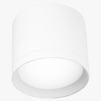 Накладной светильник LEDS POWER SPOT 009360 400_400_2447964