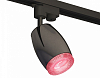 Светильник на штанге Ambrella Light XT XT1123006 100_100_2468498