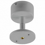 Основание на штанге с шарниром Lightstar Rullo 590009 500_191_2232462
