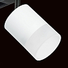 Светильник на штанге Lightstar Rullo PRO348681 100_100_1717857