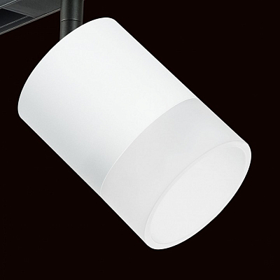 Светильник на штанге Lightstar Rullo PRO348681 400_400_1717857