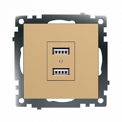 Розетка USB type A без рамки Stekker Катрин 49229 400_400_2159022