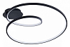 Накладной светильник Arte Lamp Millo A3893PL-30BK 100_100_3146071