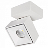 Спот Citilux Стамп CL558020N 100_100_1686694