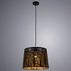 Подвесной светильник Arte Lamp Celesta A2769SP-1BK 100_100_1822498