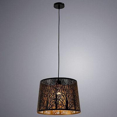 Подвесной светильник Arte Lamp Celesta A2769SP-1BK 400_400_1822498