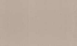 983524 Обои Rasch (1*6) 10,05x1,06 винил на флизелине 250_100_Array