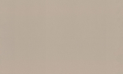 983524 Обои Rasch (1*6) 10,05x1,06 винил на флизелине 400_400_2324243