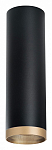 Накладной светильник Lightstar Rullo R6497490 250_100_Array