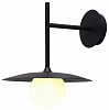 Бра Kink Light Элисон 08469W-1,19 100_100_1844027