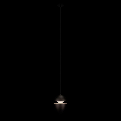 Подвесной светильник Loft it Viterbo 10336 Black 400_400_1851664