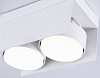 Накладной светильник Ambrella Light TN TN70845 100_100_2022416