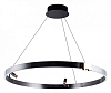 Подвесная люстра Arte Lamp Cesare A1993SP-38BK 100_100_2476536