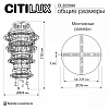 Подвесная люстра Citilux ETERA CL322090 100_100_1695078