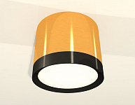 Накладной светильник Ambrella Light XS XS8121001 250_100_2012818