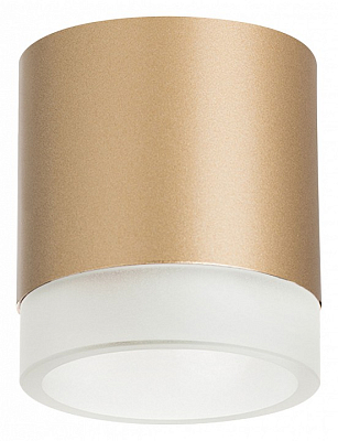 Накладной светильник Lightstar Rullo R349080 400_400_2448345