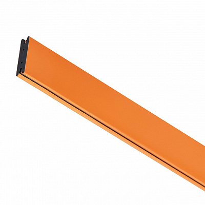 Трек гибкий Lightstar Due Hermes 510203 400_400_3235688