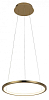Подвесной светильник Loft it Ring 10014S 100_100_1845740