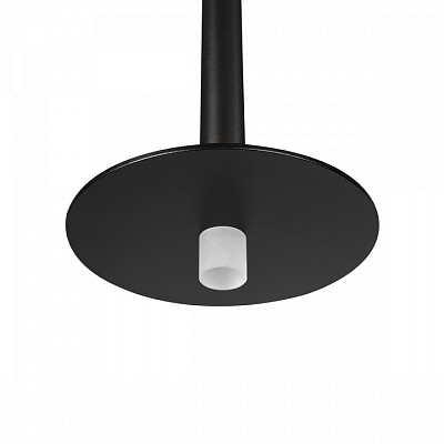 Подвесной светильник Loft it Reed 10358/830 Disk 400_400_1853172